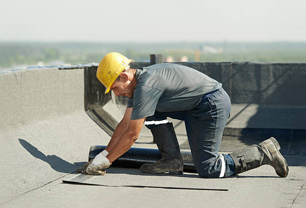 Best Specialty Insulation in Rutledge, TN