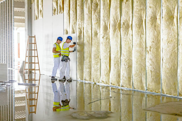 Best Commercial Insulation in Rutledge, TN